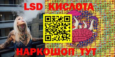 крисы Ирбит