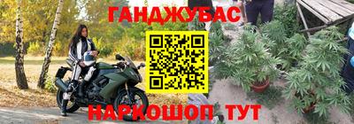 крисы Ирбит